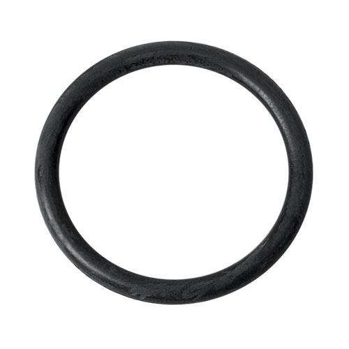 O-ring 22,0x2,5mm, 1610210184 (image for) O-ring 22,0x2,5mm, 1610210184