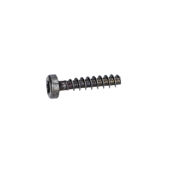 Șurub torx cu cap oval 4x20, 1619P00105 (image for) Șurub torx cu cap oval 4x20, 1619P00105