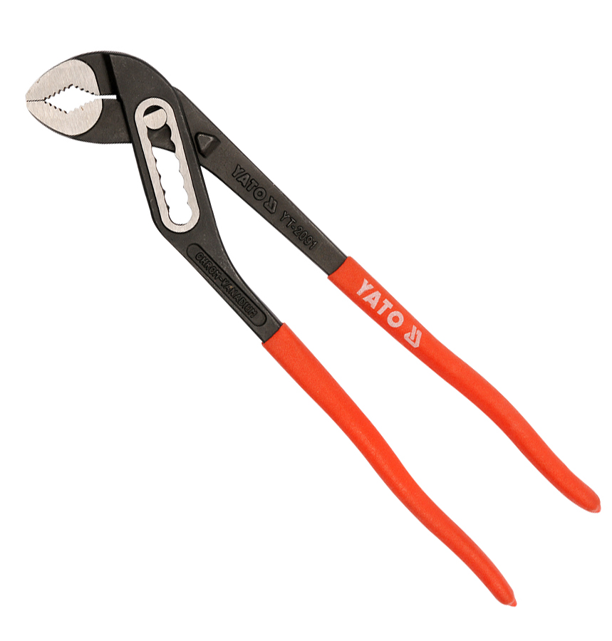 Cleste papagal 300mm